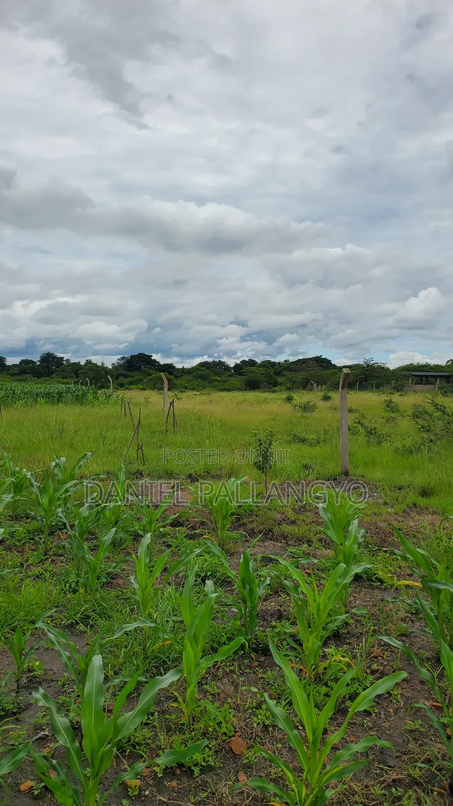 Sale Ya Viwanja 2.5m East Africa Niyamoto Sana