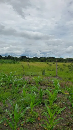 Sale Ya Viwanja 2.5m East Africa Niyamoto Sana