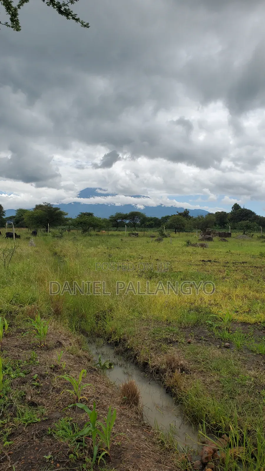 Sale Ya Viwanja 2.5m East Africa Niyamoto Sana