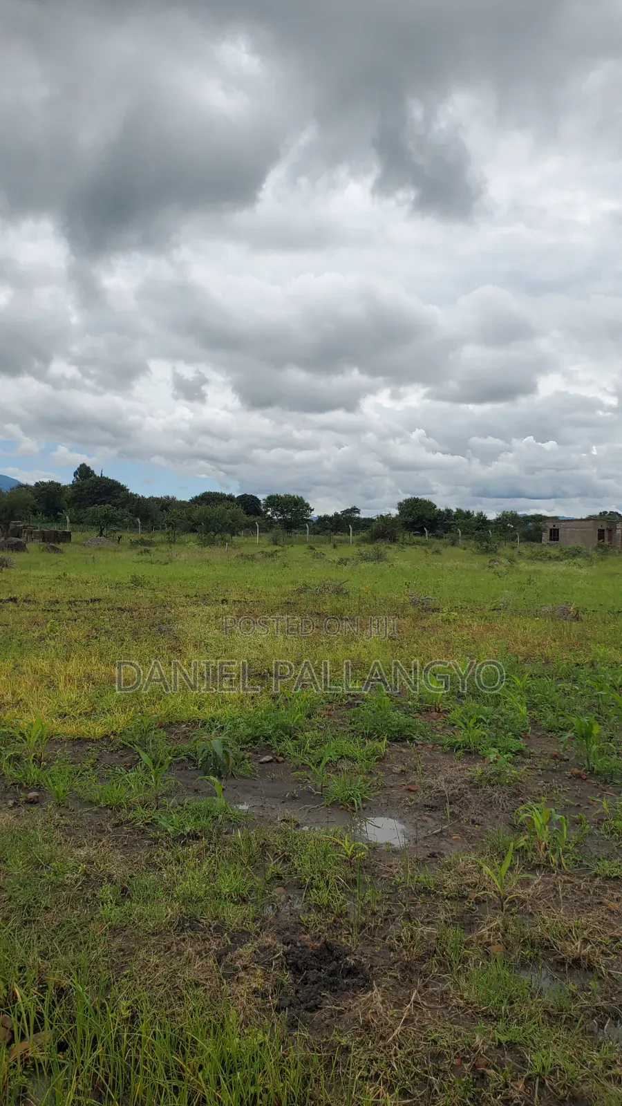 Sale Ya Viwanja 2.5m East Africa Niyamoto Sana