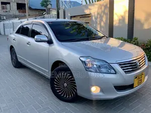 Toyota Premio 2009 Silver