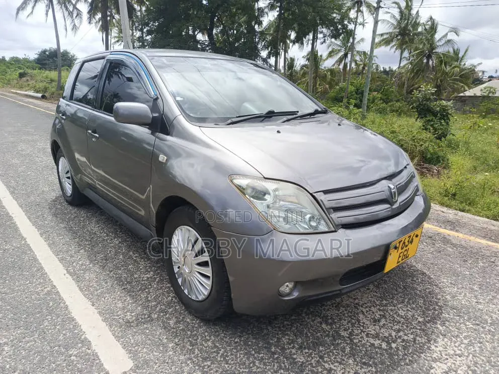 Toyota IST 2004 Gray