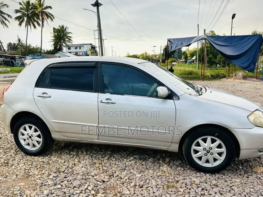 Toyota Corolla RunX 2005 Gold
