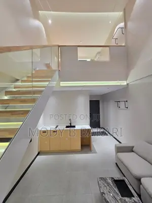 Furnished 1bdrm Apartment in Masaki for rent