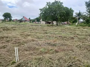 Karibu Katika Miradi Yetu Inayopatikana Kisemvule Obey City