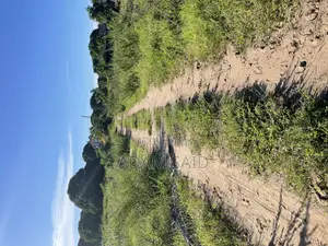Beach Plot 3800 SQM for Sale Kigamboni