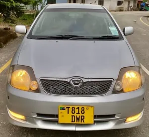 Toyota Corolla RunX 1.8 S AWD 2002 Silver