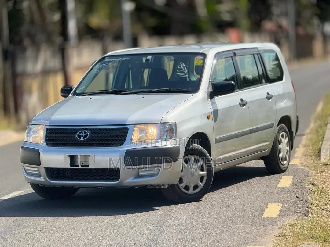 Toyota Succeed 2006 Silver