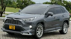 Toyota RAV4 2019 Gray