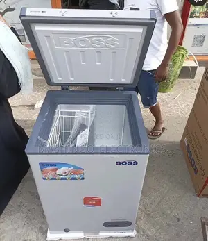 100 Liters Boss Chest Freezer