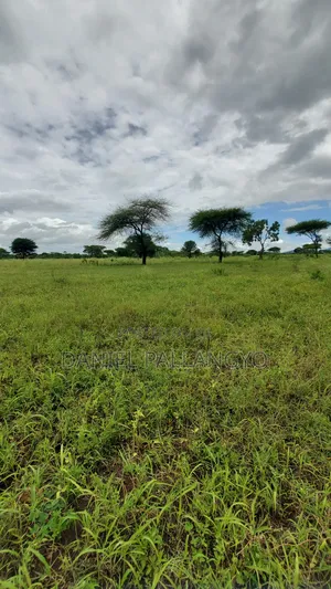 Best Plots in East Africa Road Arusha 2.5m Only