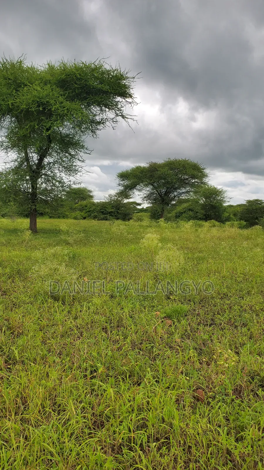 Best Plots in East Africa Road Arusha 2.5m Only