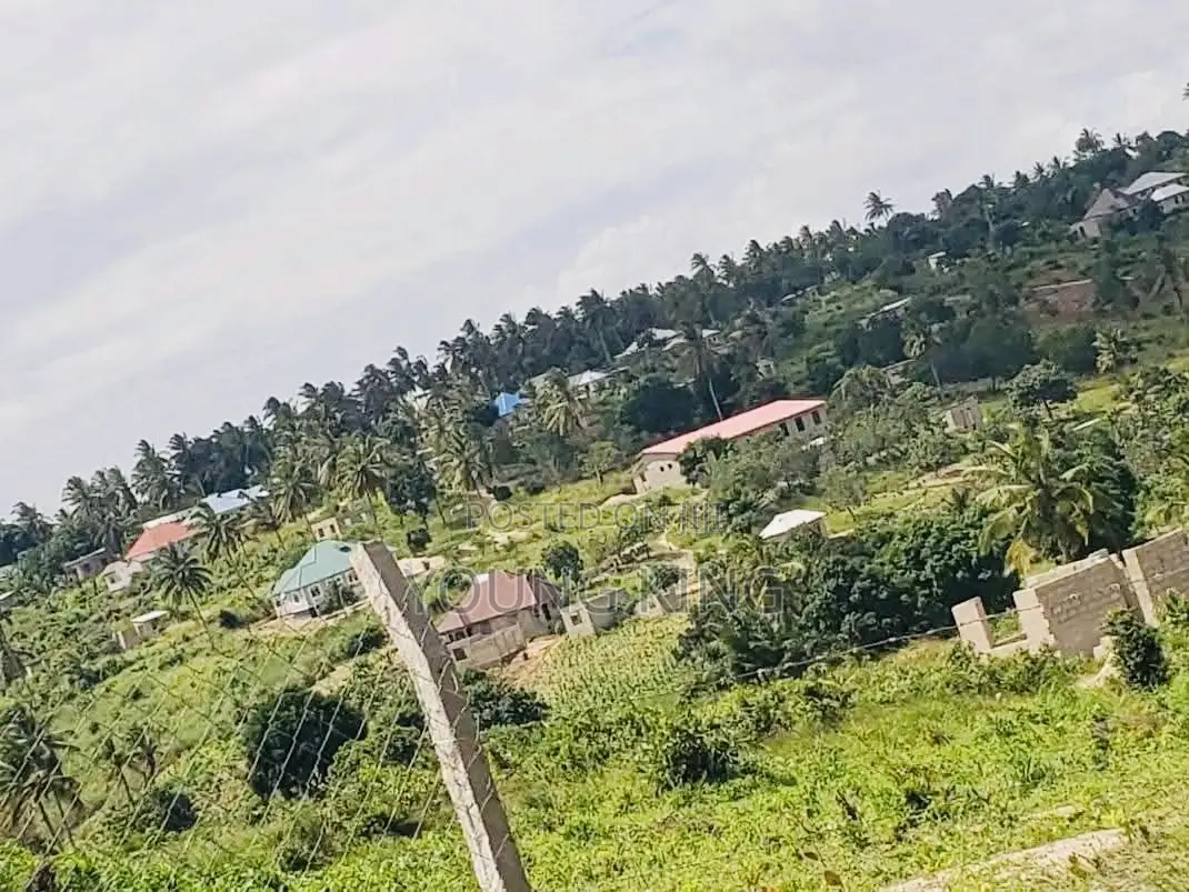 Kiwanja Ni Milln 1tu