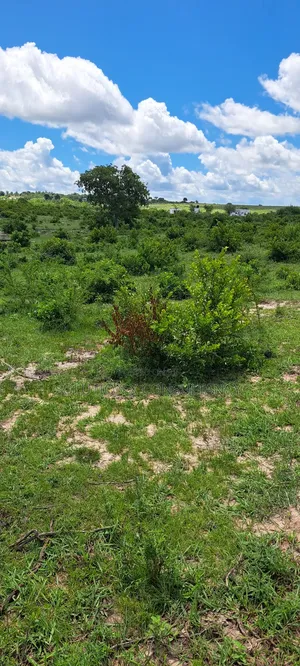 Shamba Linauzwa Mwavi - Bagamoyo