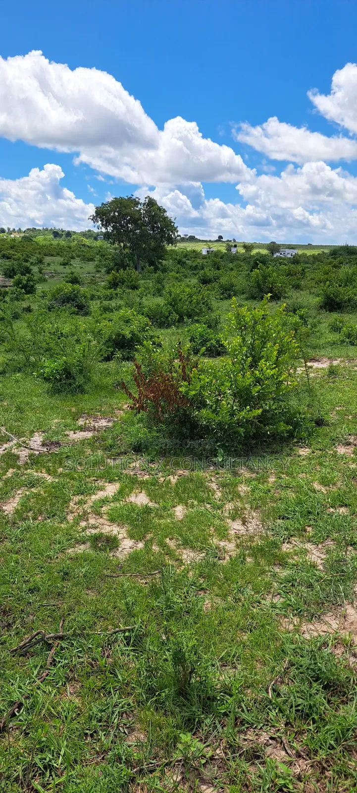 Shamba Linauzwa Mwavi - Bagamoyo