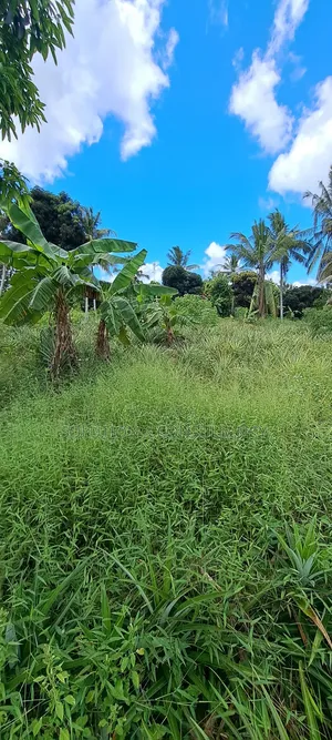 Shamba Lenye Mazao Na Nyumba Ya Kuishi Linauzwa