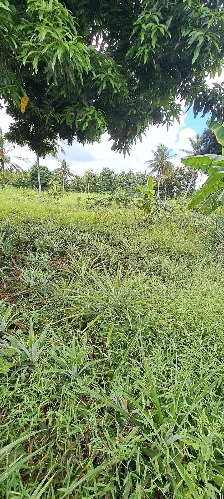 Shamba Lenye Mazao Na Nyumba Ya Kuishi Linauzwa