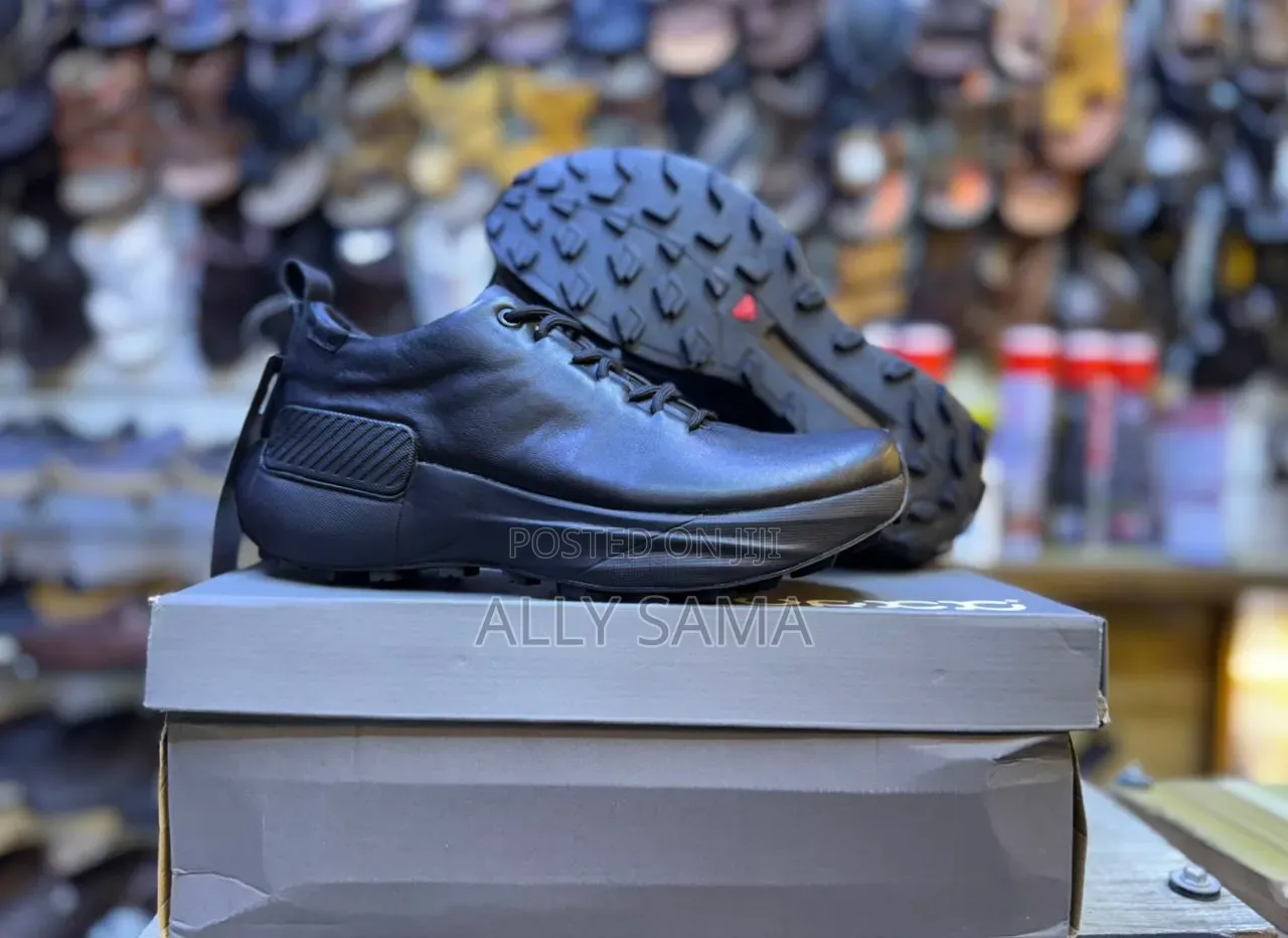 Men's Shoes Ecco Full Box Full Black