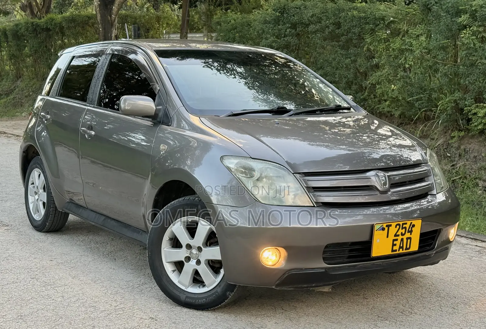 Toyota IST 2004 Gray