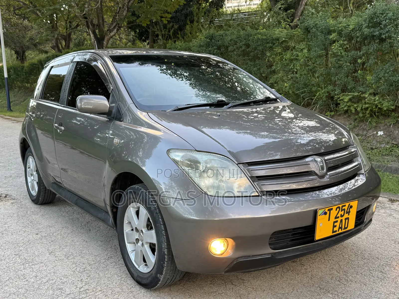 Toyota IST 2004 Gray