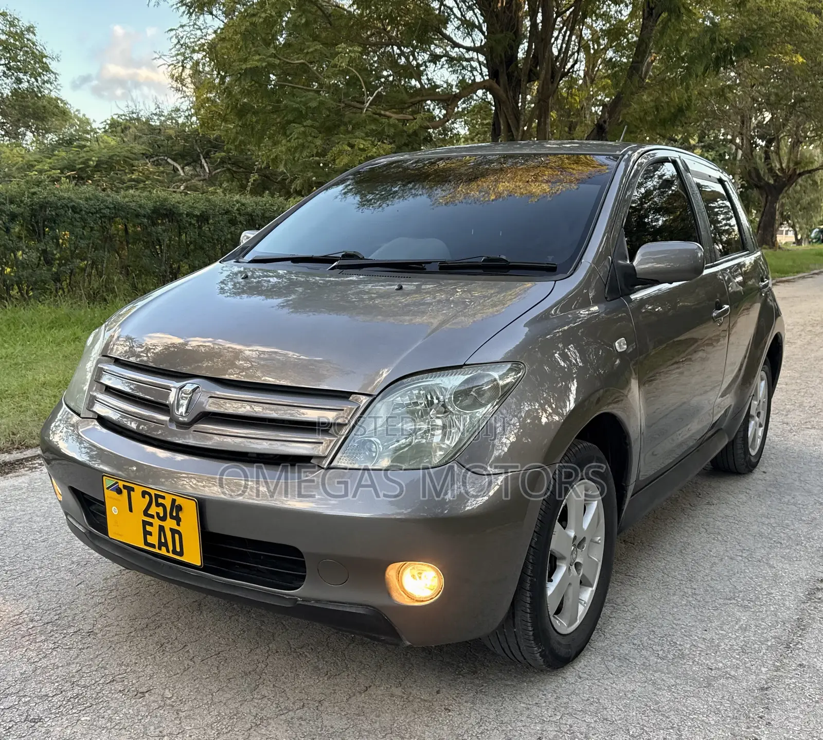 Toyota IST 2004 Gray