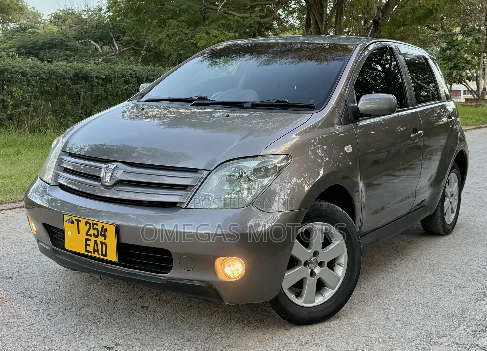 Toyota IST 2004 Gray