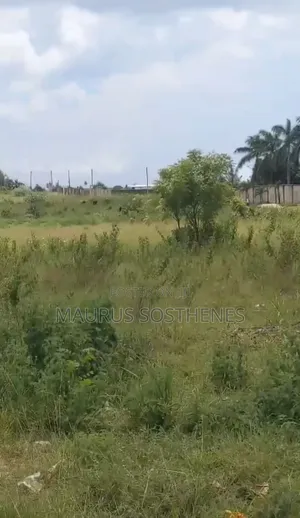 2nd Plot for Sale TSH 4.5 Billion at Kigamboni Kibada, Dar Es Salaam