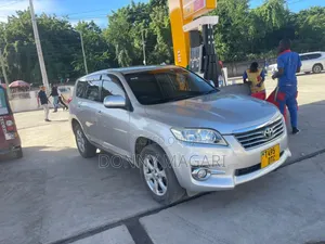 Toyota Vanguard 2009 Silver