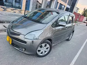 Toyota Ractis 2005 Gray