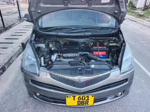 Toyota Ractis 2005 Gray