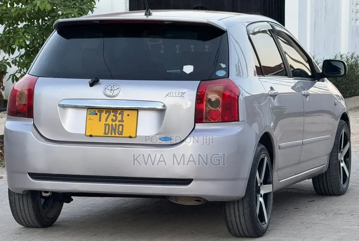Toyota Allex 2006 Silver