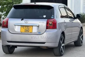Toyota Allex 2006 Silver