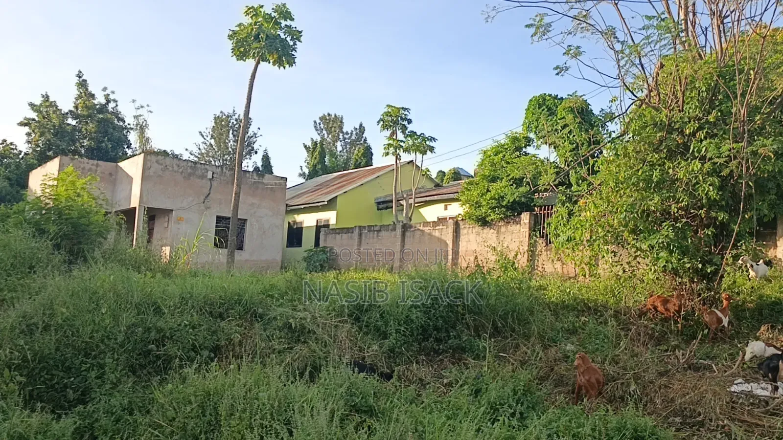 Furnished 9bdrm House in Mkolani for sale