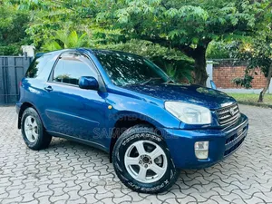 Toyota RAV4 Automatic 2003 Blue