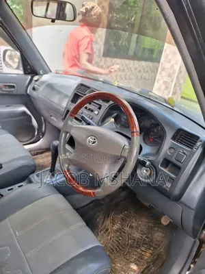 Toyota RAV4 1996 Blue