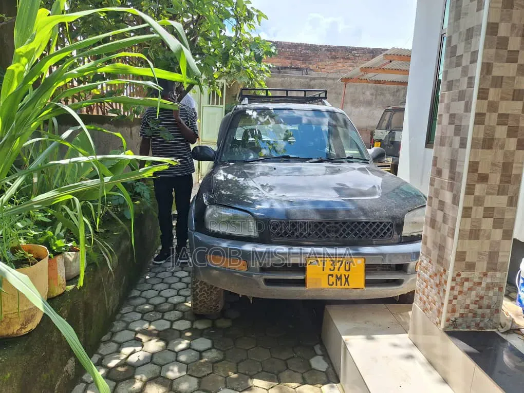 Toyota RAV4 1996 Blue
