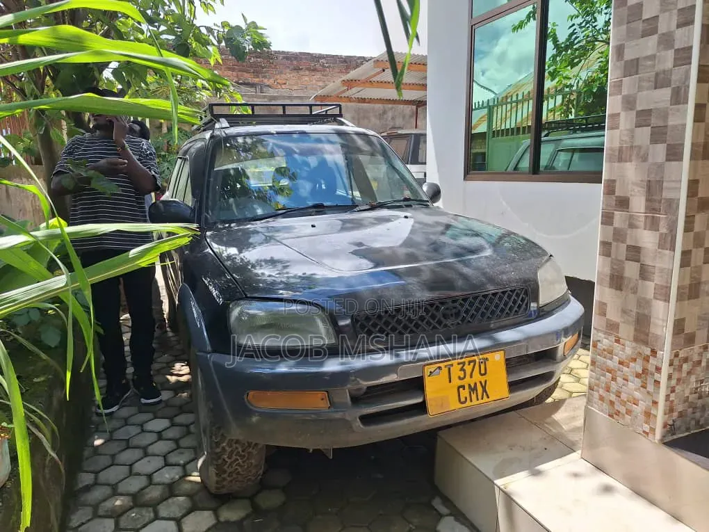 Toyota RAV4 1996 Blue