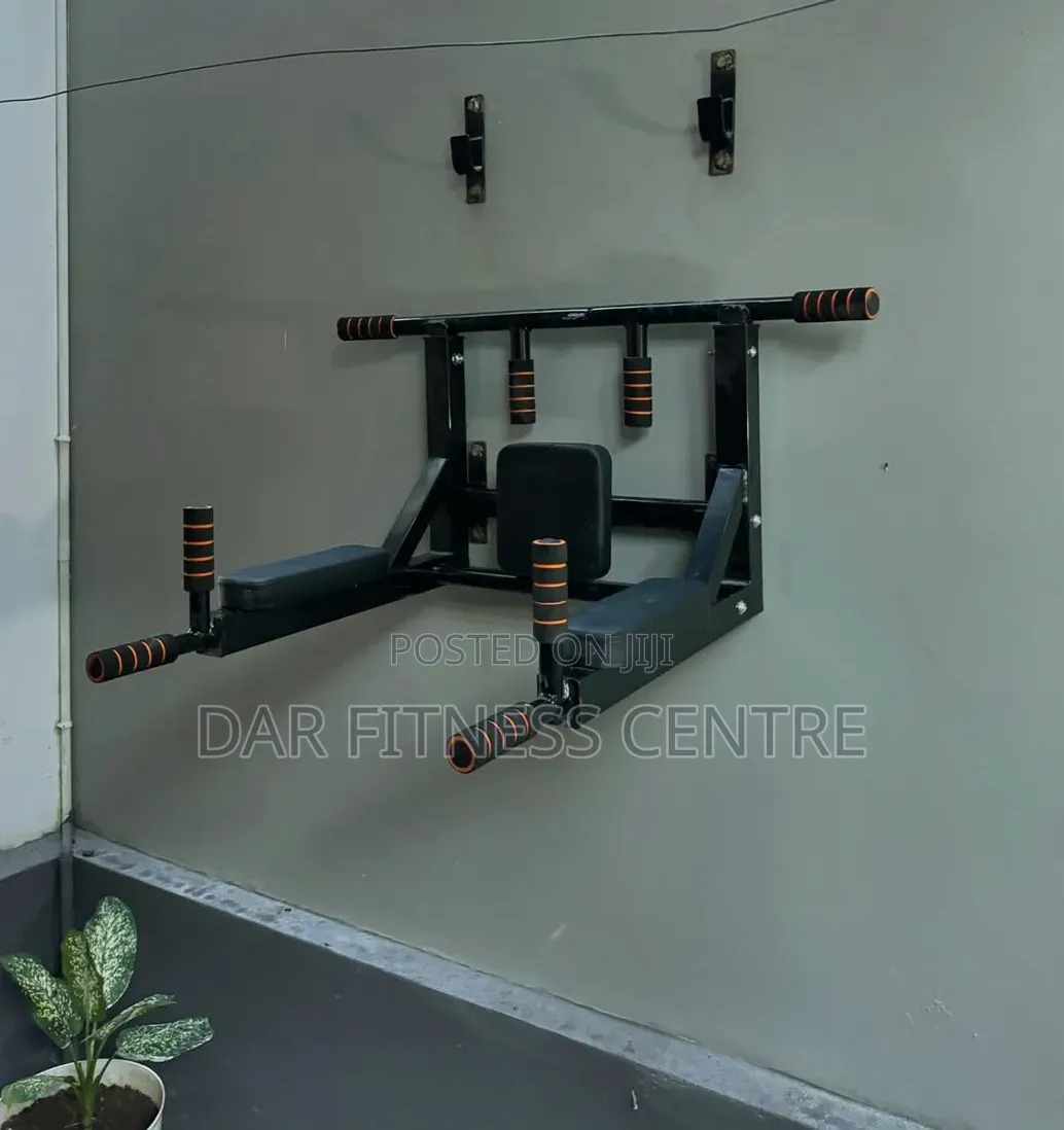 Wall Mounted Pull Up Bar