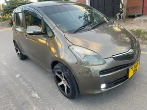 Toyota Ractis 2007 Brown