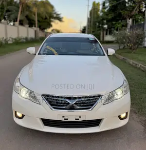 Toyota Mark X 2010 White