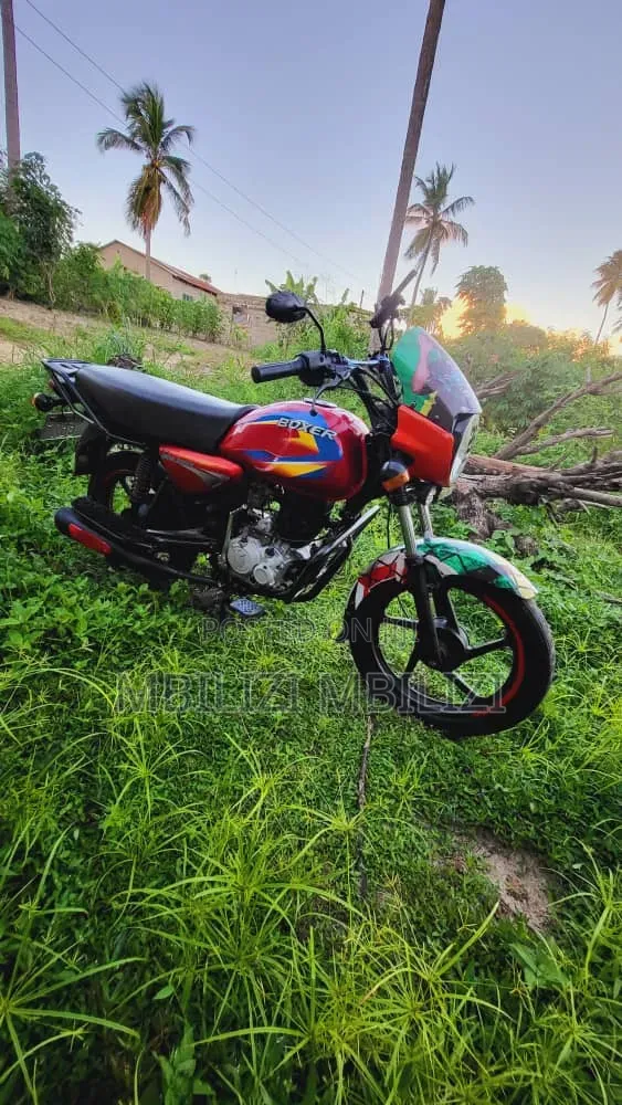 Bajaj Boxer 150 UG 2024 Red