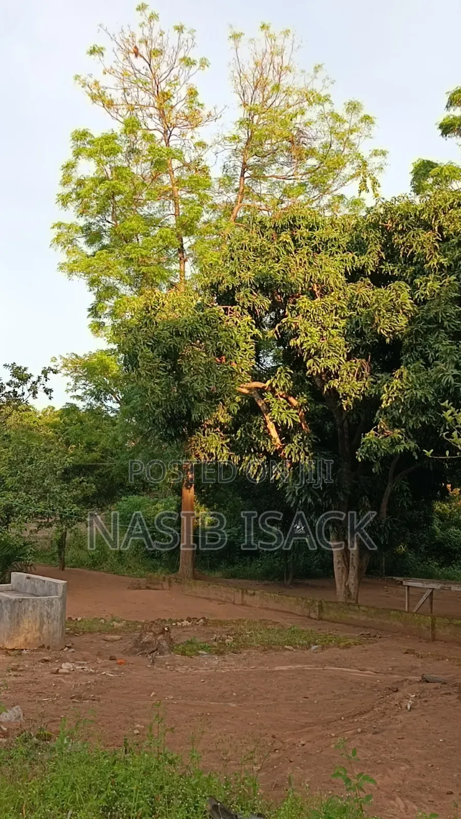 Plot for Sale Mwanza Airport