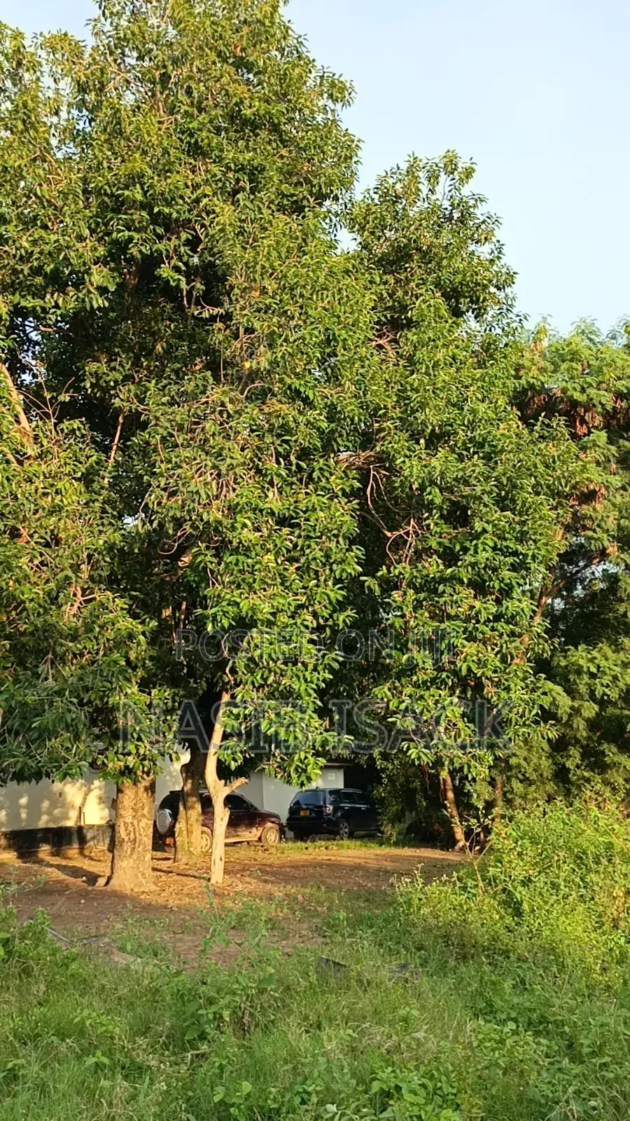 Plot for Sale Mwanza Airport