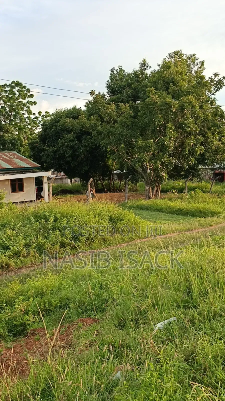 Plot for Sale Mwanza Airport