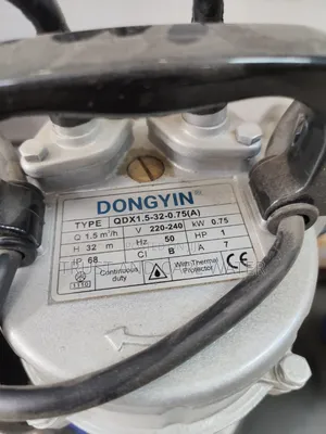 Dongyin Submarine Pump 1hp