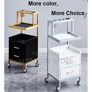 Multifunctional Saloon Troller
