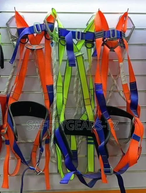 Safety Harness With Double Lanyard And Back Protection Belt