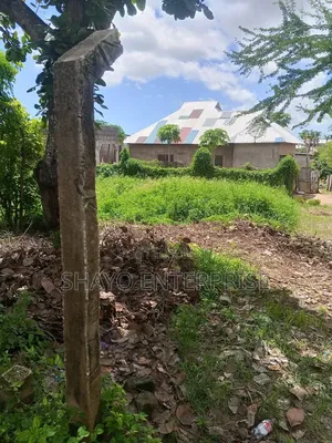 Kiwanja Sokoni