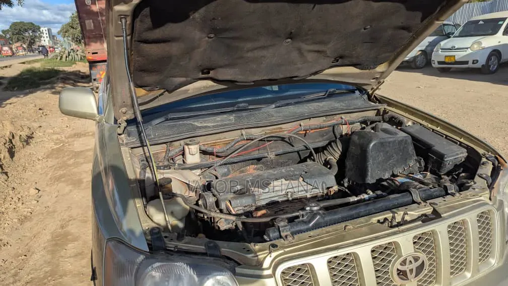 Toyota Kluger 2003 Beige