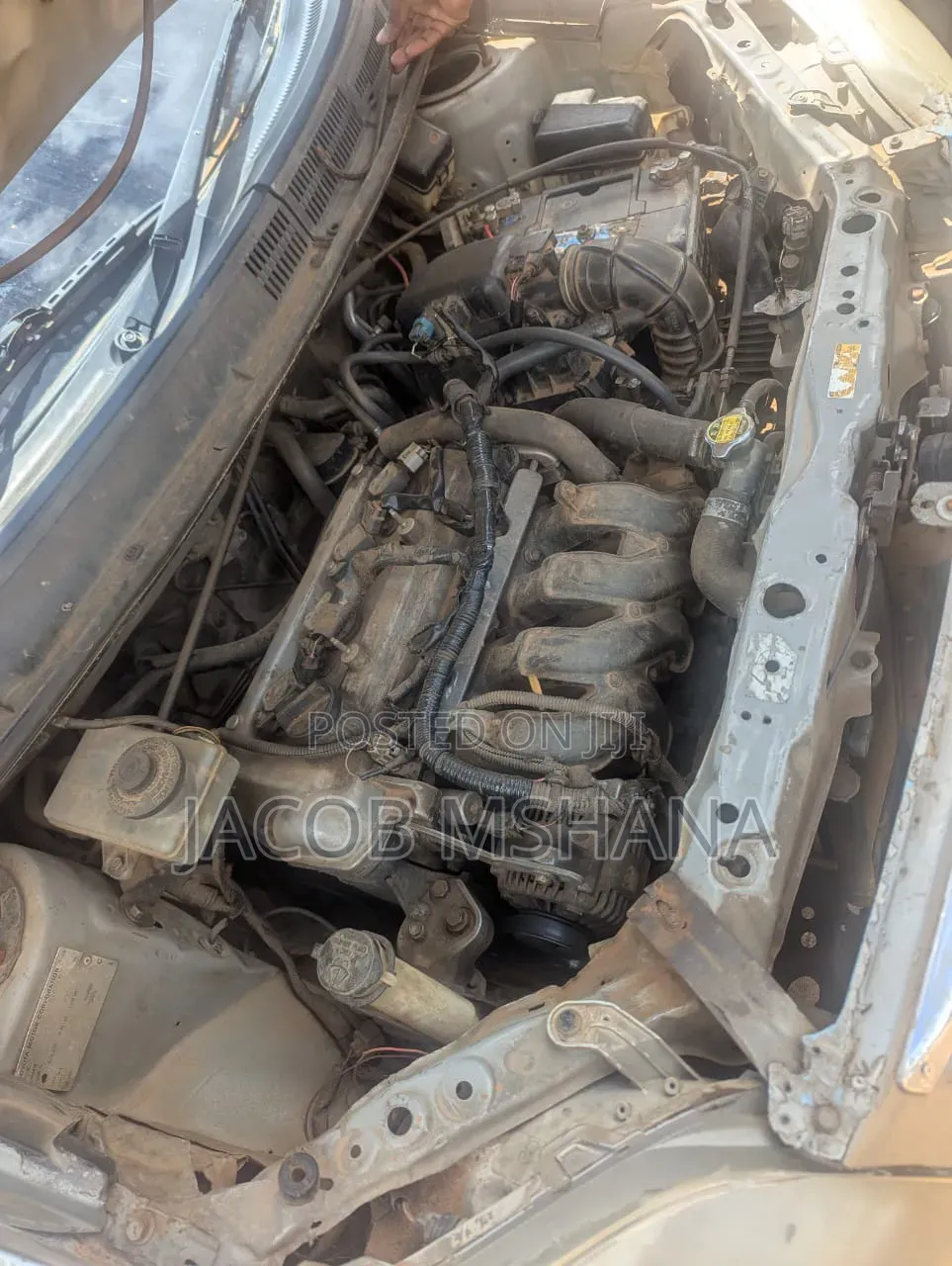 Toyota Raum 2003 Gray